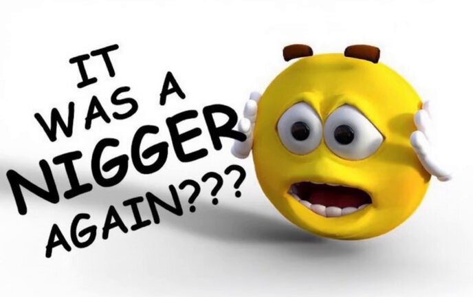 The image features a yellow, anthropomorphized emoticon with a question posed about it being a "nigger again?". The emoticon appears to be expressing frustration or annoyance at having been labeled as a "nigger" multiple times before.