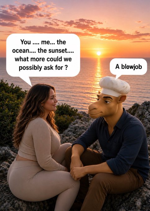 A meme showing a romantic scene at sunset where a woman asks "You .... me... the ocean.... the sunset.... what more could we possibly ask for ?" while the man, depicted with an exaggerated cartoon head, casually replies "A blowjob".