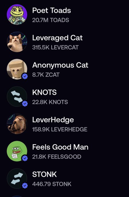 A cryptocurrency portfolio list showing token holdings including Poet Toads (TOADS), Leveraged Cat (LEVERCAT), Anonymous Cat (ZCAT), KNOTS, LeverHedge (LEVERHEDGE), Feels Good Man (FEELSGOOD), and STONK.