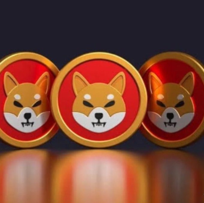 A stylized 3D graphic showing three gold coins with red centers featuring the Shiba Inu dog logo, representing the cryptocurrency Shiba Inu (SHIB).