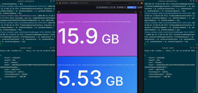 The image displays two screens side by side with different shades of purple, both showing a number written in white text. The first screen has "15.9 GB" displayed at the top left corner and the second screen shows "5.53 GB". These numbers are likely related to data storage or usage on the Cardano blockchain network. The image also includes code snippets that may be useful for understanding how the system works, but they do not provide any clear information about cloud services or data storage.