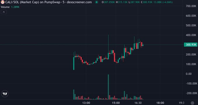 A candlestick chart from DexScreener showing CALI/SOL (Market Cap) on PumpSwap, with a volume of 1.289K and price at 300.93K (+4.84%).