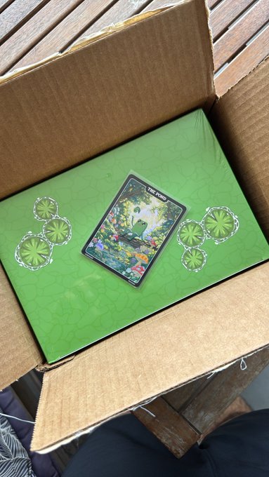 An unopened green Pokémon Trading Card Game box sits inside a cardboard shipping box, featuring artwork of Shaymin in its Land Forme.