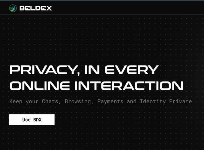 A dark-themed promotional banner for "BELDEX" featuring the headline "PRIVACY, IN EVERY ONLINE INTERACTION" with the tagline "Keep your Chats, Browsing, Payments and Identity Private" alongside a "Use BDX" call-to-action button. The image reinforces the post's message about Beldex's cross-chain privacy approach by emphasizing its broad commitment to user privacy across multiple online activities.