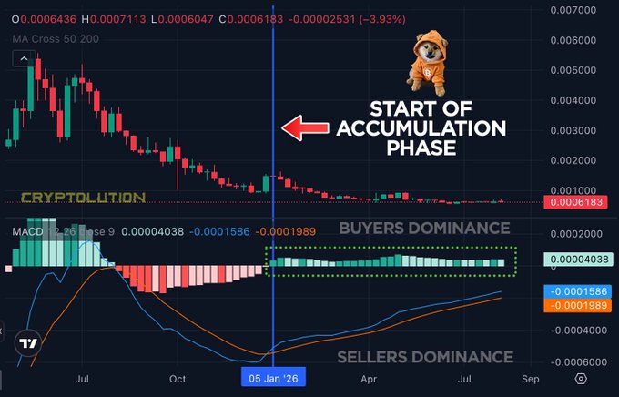 A cryptocurrency trading chart showing a 'START OF ACCUMULATION PHASE' with a bearish trend, MACD indicator showing 'BUYERS DOMINANCE' in a green box, and a small dog illustration in a hoodie, watermarked 'CRYPTOLUTION'.