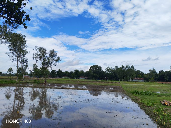A rural landscape showing flooded rice paddies reflecting a cloudy blue sky, with trees and small buildings in the background, watermarked 'HONOR 400'.