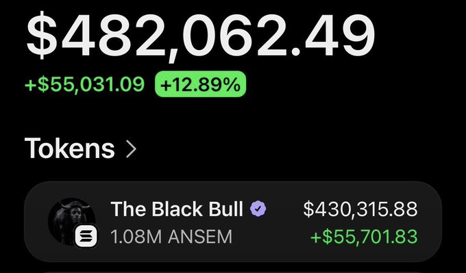 The image shows a portfolio displaying a balance of $482,062.49 with a +12.89% gain (+$55,031.09), highlighting "The Black Bull" wallet holding 1.08M ANSEM tokens valued at $430,315.88 (+$55,701.83). This relates to the post by promoting the ANSEM token as part of "15+ winners," showcasing impressive returns as social proof to encourage others to engage and share their Solana addresses.