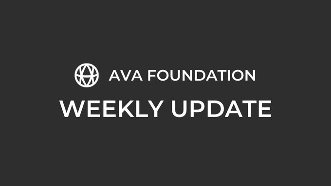 Black background image featuring the 'AVA FOUNDATION' logo with the text 'WEEKLY UPDATE' in white below it.