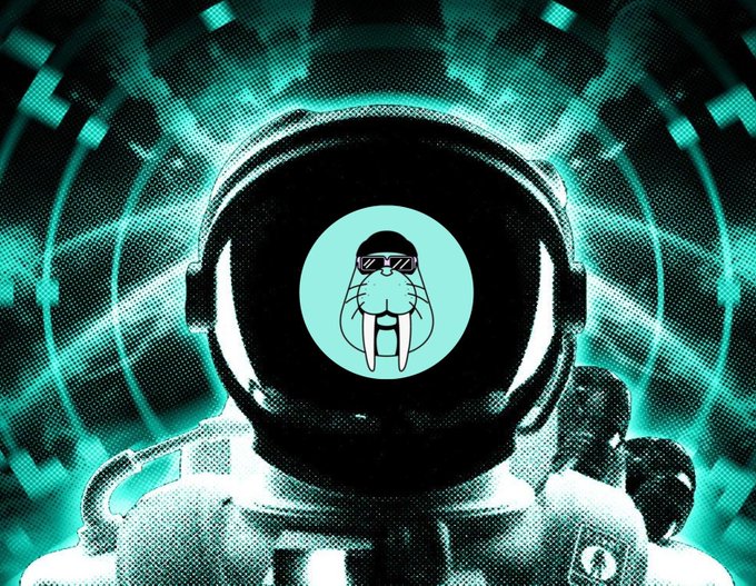 An astronaut in a space helmet with a stylized walrus face (wearing sunglasses) reflected in the visor, set against a teal, tunnel-like cosmic background.