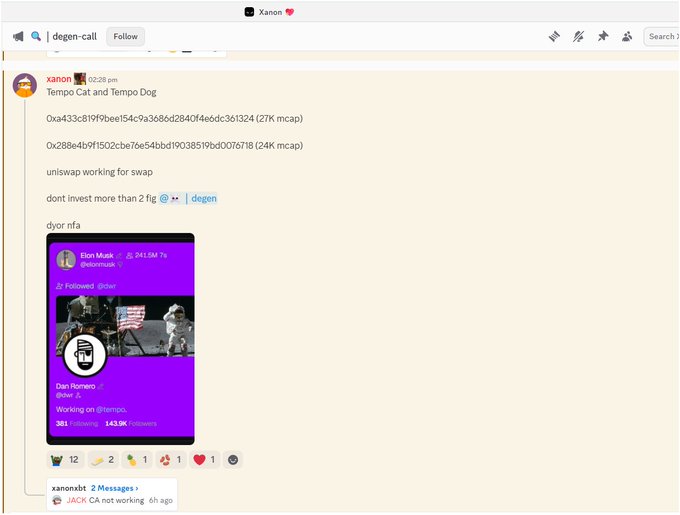 A Discord message from user xanon in the degon-call channel mentioning 'Tempo Cat and Tempo Dog,' sharing two contract addresses, listing 'unlswap working for swap,' advising 'dont invest more than 2 fig,' and showing a screenshot of a Polymarket bet by Elon Musk on Dan Romero.