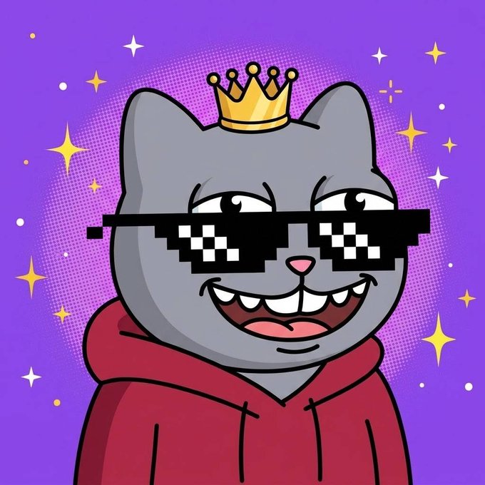 A cartoon illustration of a gray cat wearing pixelated 'thug life' sunglasses, a gold crown, and a red hoodie against a purple background with sparkles.
