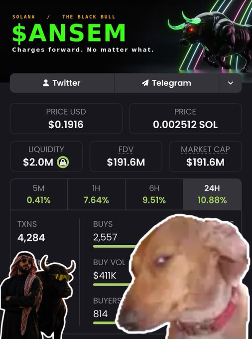 A cryptocurrency information dashboard for $ANSEM (Solana) showing a price of $0.1916, market cap of $191.6M, and featuring a dog and bull mascot image.