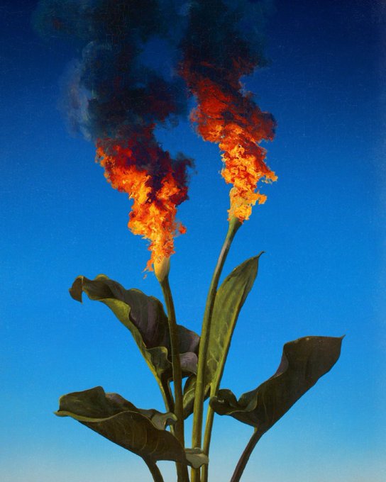 A surreal artwork showing two green leaves on stems with large flames and dark smoke billowing from their tops against a deep blue sky.