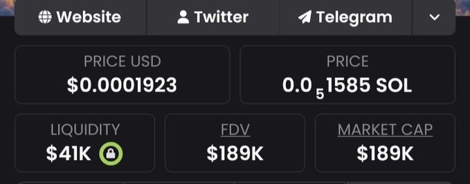 A dark-themed cryptocurrency tracker interface showing links for Website, Twitter, and Telegram, with a USD price of $0.0001923, 0.051585 SOL, $41K liquidity, and a $189K market cap.