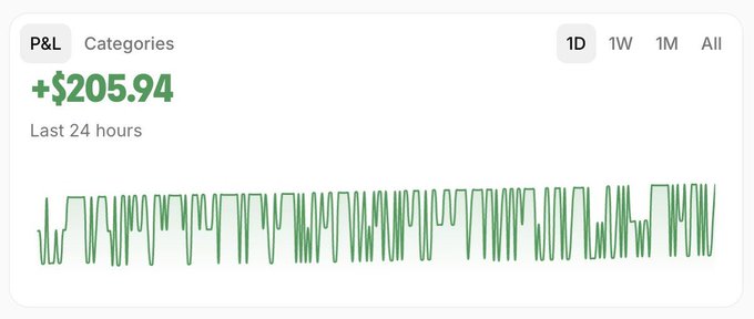 A Profit and Loss (P&L) dashboard widget displays a positive return of +$205.94 over the last 24 hours with a green line graph.