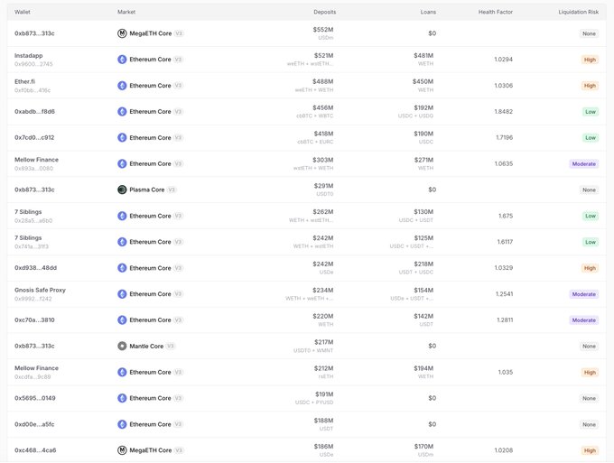 A cryptocurrency lending dashboard table showing wallets, markets (Ethereum Core, MegaEth Core, Plasma Core, Mantle Core), deposits, loans, health factors, and liquidation risk levels.
