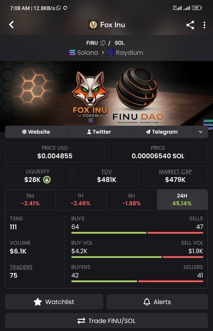 A cryptocurrency tracking app screen displays information for 'Fox Inu' (FINU/SOL token on Solana and Raydium), showing a price of $0.004855 USD, market cap of $479K, and a 24-hour price change of +45.14%.