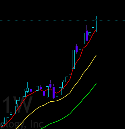 A candlestick price chart for ticker "MU" (shown faintly as "MU" with "logy, Inc" partially visible at bottom) displays a steep uptrend using blue and purple candles with wicks, accompanied by three moving average lines in red, yellow, and green that fan upward, illustrating the sharp rally that the post suggests may be topping out as the market digests bullish earnings news.