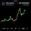 A small screenshot of a penny stock chart for Berrycoin showing a price of $0.0000689 and +110.50% gain.