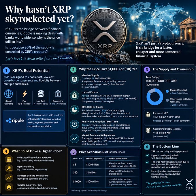 An infographic titled 'Why hasn't XRP skyrocketed yet?' explaining XRP's potential, supply issues, escrow, ownership distribution showing Ripple holds 80%, and potential price scenarios.
