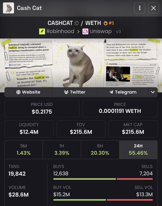 The image displays the "Cash Cat" cryptocurrency token's trading interface, showing its price at $0.2175 USD and a 24-hour increase of 55.46%, correlating with the post's announcement of an all-time high. The "sad cat" meme superimposed on financial news articles about CashCat's origins further emphasizes the meme-driven nature of the token.
