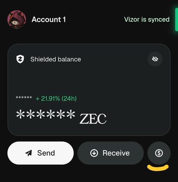 A cryptocurrency wallet app screenshot showing a 'Shielded balance' in ZEC with 'Vizor is synced' status and a +21.91% (24h) gain.