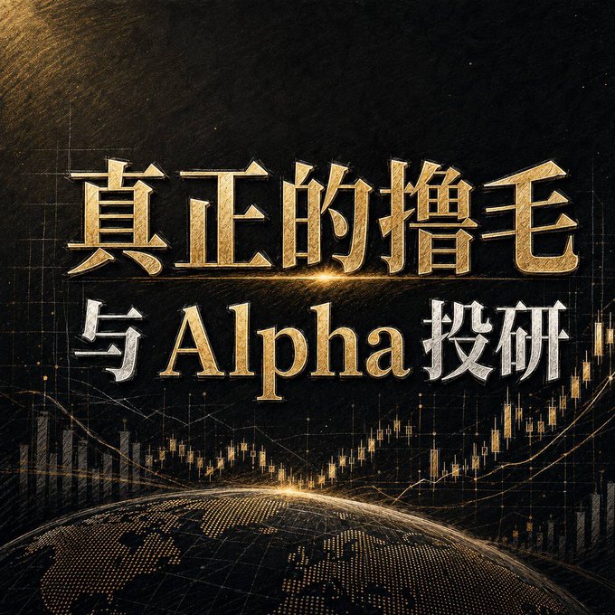 A dark graphic with gold Chinese text '真正的撸毛与Alpha投研' (Real airdrop hunting and Alpha investment research) overlaid on financial chart lines and a stylized globe.