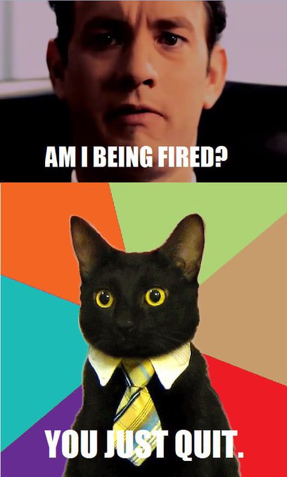 A two-panel meme showing a worried man asking "AM I BEING FIRED?" above a black cat in a tie stating "YOU JUST QUIT."