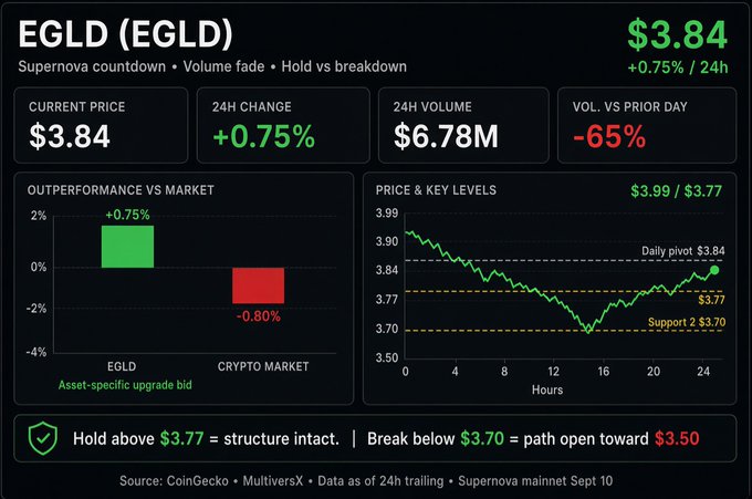 Cryptocurrency market dashboard for EGLD token priced at $3.84 (+0.75% / 24h) with 24h volume of $6.78M, showing outperformance vs crypto market and a price chart with resistance at $3.99 and support at $3.70.