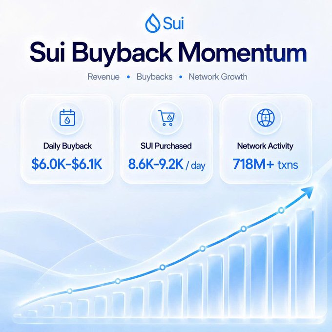 A promotional graphic for Sui titled 'Sui Buyback Momentum' showing daily buyback of $6.0K-$6.1K, 8.6K-9.2K SUI purchased per day, and 718M+ network transactions, with an upward trending bar chart.