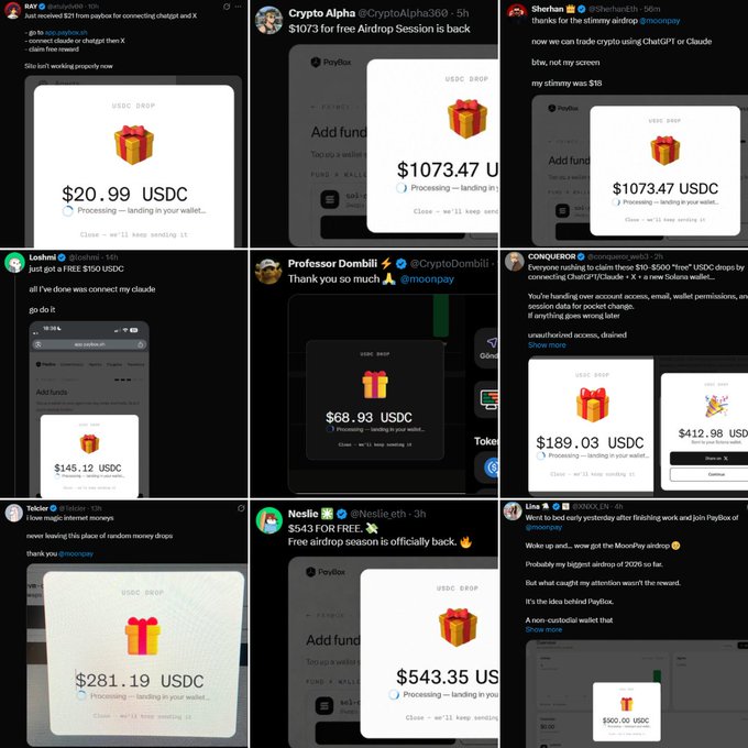 A collage of Twitter/X posts showing users sharing screenshots of USDC airdrop rewards received from PayBox, with amounts ranging from $20.99 to $1073.47 USDC, with usernames like @danapatia, @CryptoAlpha368, @SherhanETH, @Lushmi, @CryptoDomBii, CONQUEROR, Tokolos, @Nestlie_eth, and Lino, tagged with @moonpay.