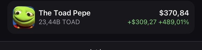 A cryptocurrency price tracker showing 'The Toad Pepe' at $370.84 with a daily gain of +$309.27 and +489.01%, with a market cap of 23.44B TOAD.