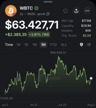Cryptocurrency tracker screenshot for WBTC (Wrapped Bitcoin) showing a price of $63,427.71, up $2,385.35 or 3.91% in 1 month, with market cap $173M, liquidity $29.1M, and holders 80K, alongside a green price chart.