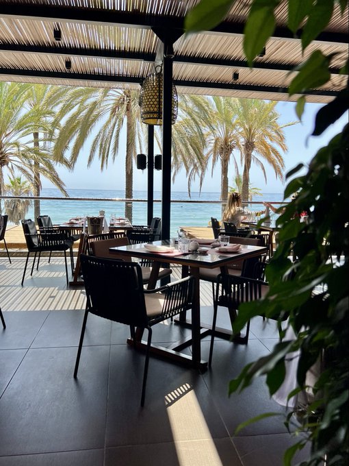 A sunlit beachside restaurant terrace featuring palm trees, an ocean view, and tables set for dining beneath a bamboo-shaded roof.