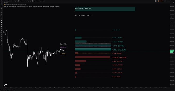 A dark-themed financial trading chart displays Bitcoin (BTCUSDT) price action with candlesticks, featuring a GEX (Gamma Exposure) Profile on the right side that lists key levels including C 0.5% $30.9k, C 61% $2.81M, and P 59.5% -$2.33M, with annotations marking "Spot 63.3k," "Flip 60.9k," and "MP 60k." The visualization directly illustrates the post's announcement, showing the newly added options data integration with expiry-related vertical lines and split-view profile bars displaying both open interest and gamma exposure data.