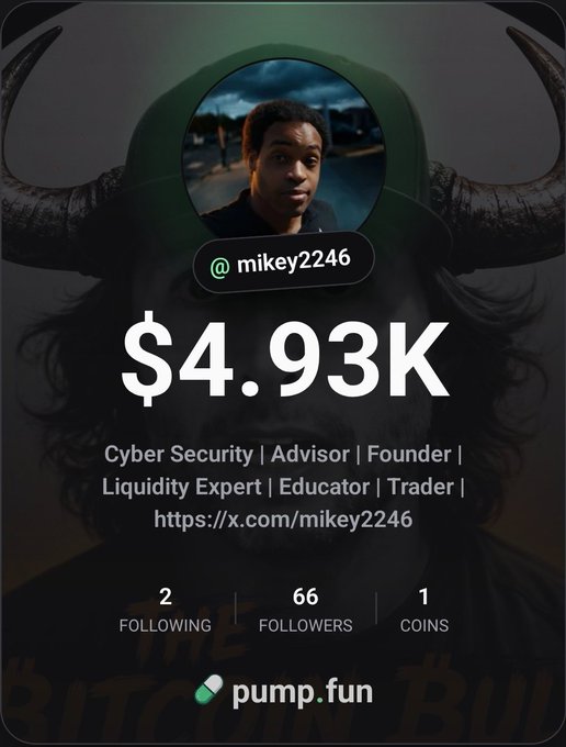 Social profile card for user '@mikey2246' showing a $4.93K value, with the handle labeled 'Bitcoin Bull,' and titles 'Cyber Security | Advisor | Founder | Liquidity Expert | Educator | Trader' on the pump.fun platform.