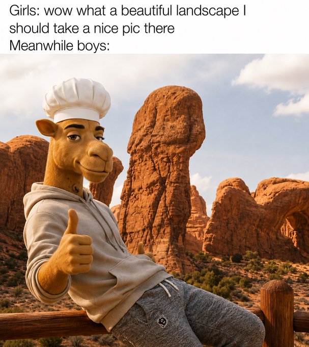 A humorous meme showing a CGI camel character in a hoodie giving a thumbs up in front of red rock formations, with text reading 'Girls: wow what a beautiful landscape I should take a nice pic there Meanwhile boys:'.