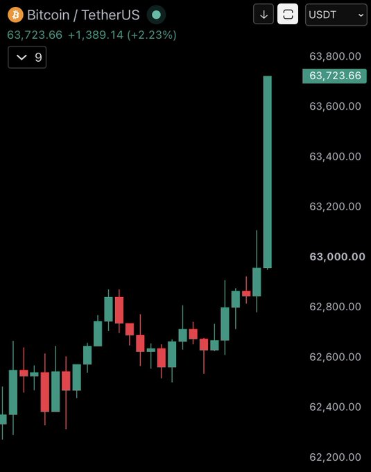 A cryptocurrency trading chart showing Bitcoin/TetherUS (BTC/USDT) priced at 63,723.66, up +1,389.14 (+2.23%), displayed as a candlestick chart on a dark background.