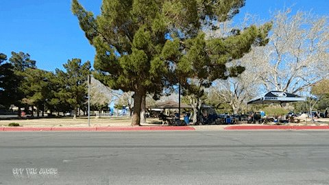 The image shows an outdoor area with a large tree, possibly at a park or a picnic spot. There are several people scattered around the scene, some sitting under umbrellas while others enjoy their time outdoors. The setting appears to be a sunny day, making for a pleasant atmosphere. In the background, there is a street lamp and a traffic light, indicating that this location might be near an intersection or a busy area.