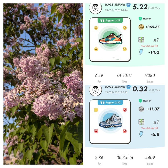 A collage of two images, a pink tree with purple flowers and a white screen displaying a fitness tracking app's progress bar for a runner named Hae-Stephan.
