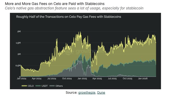A line graph titled "More and More Gas Fees on Celo are Paid with Stablecoins," with a subtitle "Roughly Half of the Transactions on Celo Pay Gas Fees with Stablecoins," showing transaction trends for CELO, USDT, and Others from January 2024 to January 2026.