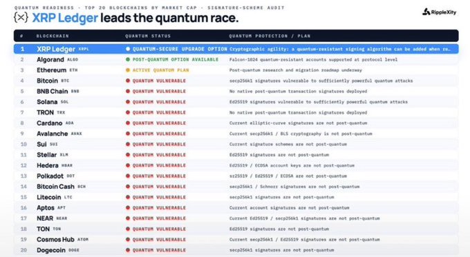 A screenshot from RippleXity showing a "Top 20 Blockchains by Market Cap" list, with XRP Ledger at #1 noted as "QUANTUM-SECURE UPGRADE OPTION" while most other chains like Bitcoin, Ethereum, and Solana are marked as "QUANTUM VULNERABLE".