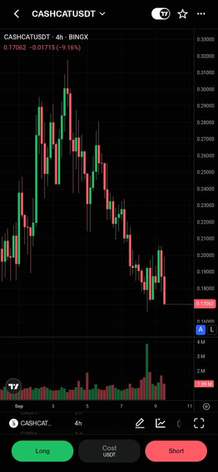 A TradingView mobile chart showing the CASHCATUSDT 4-hour candle chart on BingX, with a current price of 0.17062 (down -9.16%) and Long/Short trading buttons at the bottom.