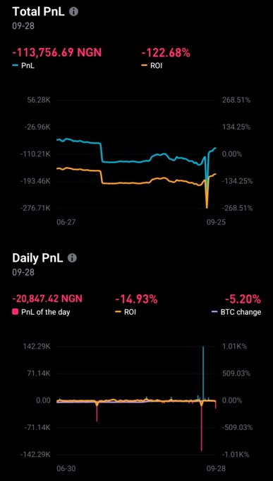 A financial dashboard displaying 'Total PnL' of -113,756.69 NGN (-122.68%) with two line charts tracking PnL and ROI, and a 'Daily PnL' chart below with -14.93% daily change including BTC change tracking.