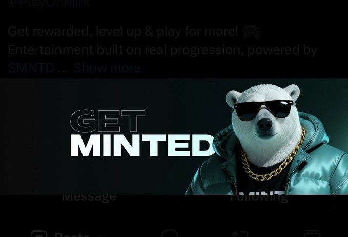 An advertisement for MINT displays a polar bear wearing sunglasses and a gold chain next to the text 'GET MINTED', with '@PlayOnMint' and '$MNTD' partially visible.
