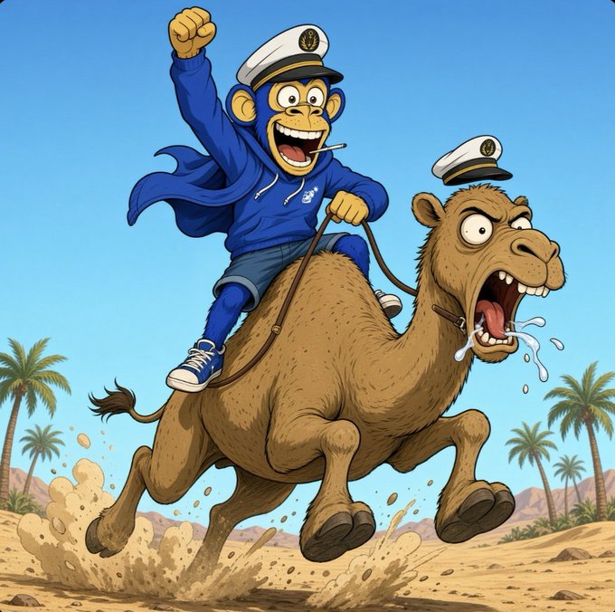 A cartoon illustration of an excited monkey wearing a sailor hat and blue tracksuit riding a galloping, screaming camel through a desert landscape with palm trees.