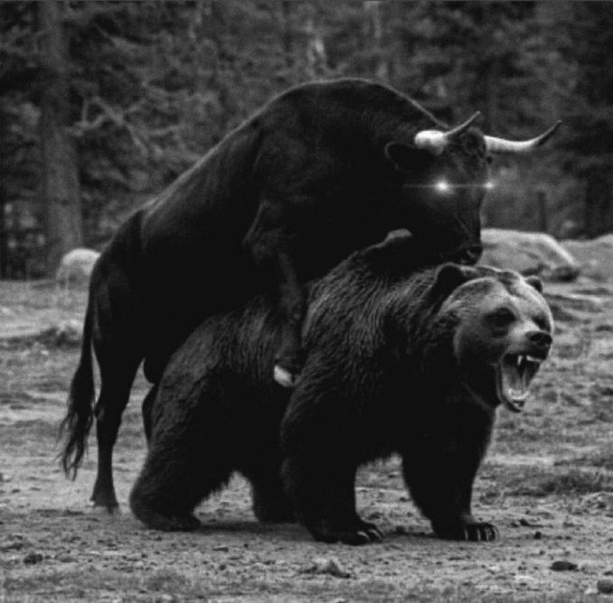 A surreal, dark black-and-white image depicting a bull mounted on the back of a roaring bear, symbolizing a bullish market overcoming bearish conditions.
