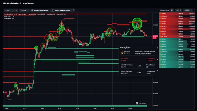 A Coinglass "BTC Whale Orders & Large Trades" dashboard displays a candlestick chart of BTC/USDT around the $87,300 level, highlighting a $30M sell order at 87399.9 alongside large green and red whale clusters marked across key price zones. The side panel lists extensive BTC sell orders above market and buy orders below, confirming the substantial $30M ask referenced in the caption.