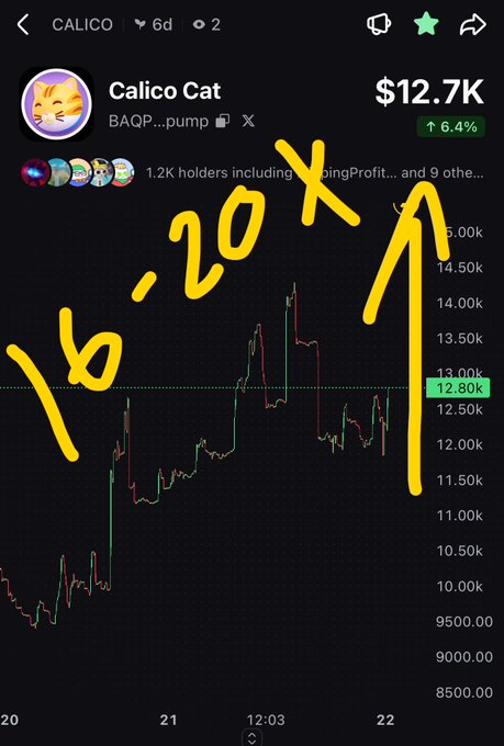 A crypto price chart for 'Calico Cat' showing a market cap of $12.7K and a 6.4% increase, with large handwritten yellow text '10.20 X' and an upward arrow drawn over it.
