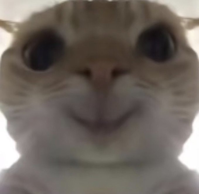 A close-up of a cat's face with a subtle smile is paired with a post from a user praising a 3% bonus on crypto deposits and playfully requesting the bonus be paid in "cat coins" instead of cash.